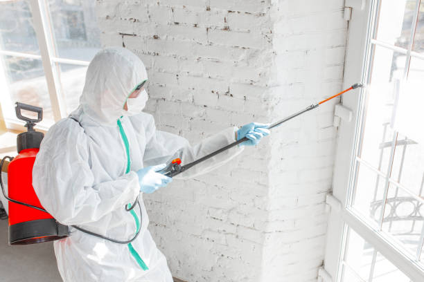 Forensic Mold Investigation in Lakeview, NY